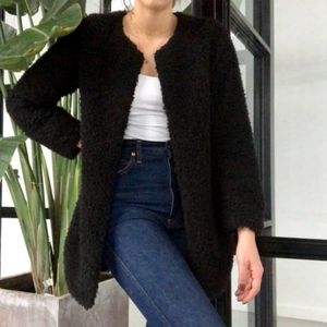 Wilfred aritzia laboratoire coat